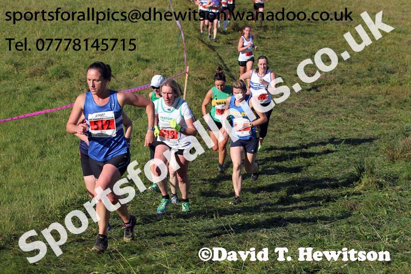 Senior womens start, North East Harrier League, Cramlington. Photo: David T. Hewitson/Sports for All Pics